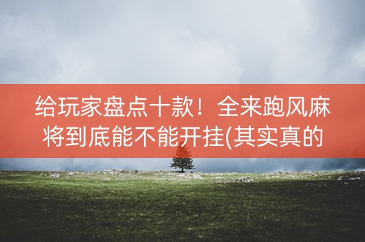给玩家盘点十款！全来跑风麻将到底能不能开挂(其实真的确实有挂)