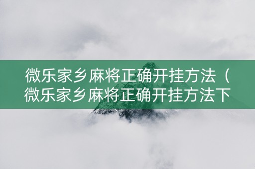 微乐家乡麻将正确开挂方法（微乐家乡麻将正确开挂方法下载）