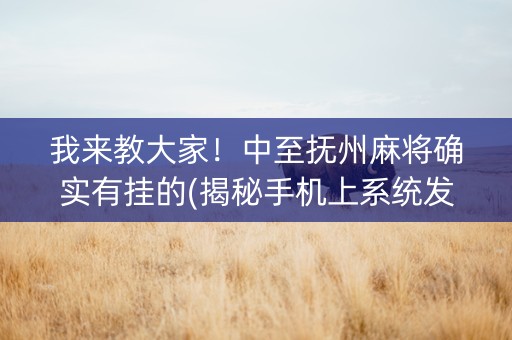 我来教大家！中至抚州麻将确实有挂的(揭秘手机上系统发好牌)