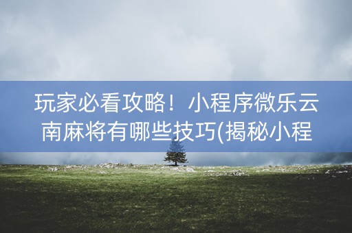 玩家必看攻略！小程序微乐云南麻将有哪些技巧(揭秘小程序赢牌技巧)