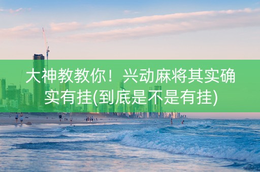 大神教教你！兴动麻将其实确实有挂(到底是不是有挂)