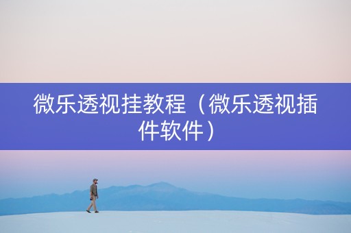 微乐透视挂教程（微乐透视插件软件）