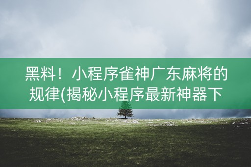 黑料！小程序雀神广东麻将的规律(揭秘小程序最新神器下载)