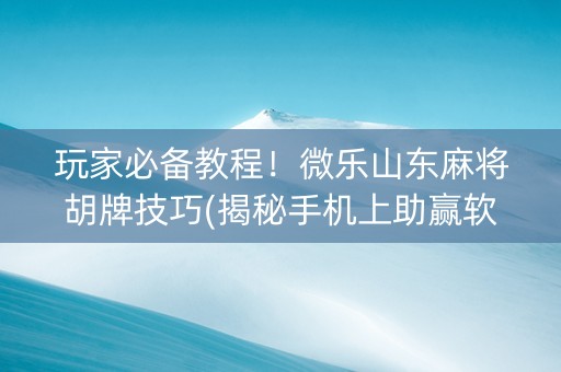 玩家必备教程！微乐山东麻将胡牌技巧(揭秘手机上助赢软件)