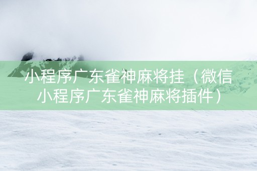 小程序广东雀神麻将挂（微信小程序广东雀神麻将插件）