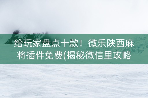给玩家盘点十款！微乐陕西麻将插件免费(揭秘微信里攻略插件)