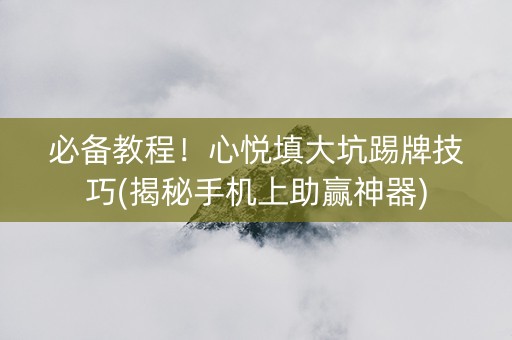 必备教程！心悦填大坑踢牌技巧(揭秘手机上助赢神器)