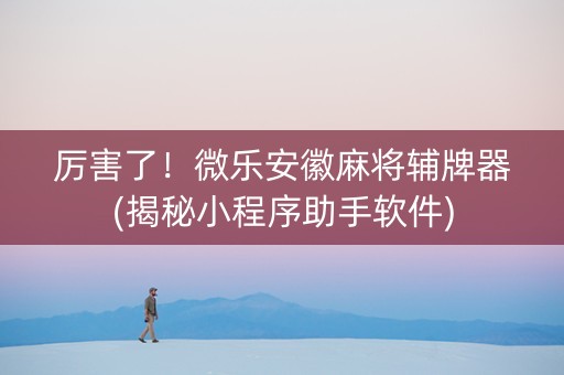 厉害了！微乐安徽麻将辅牌器(揭秘小程序助手软件)