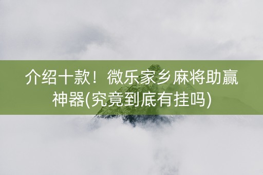 介绍十款！微乐家乡麻将助赢神器(究竟到底有挂吗)
