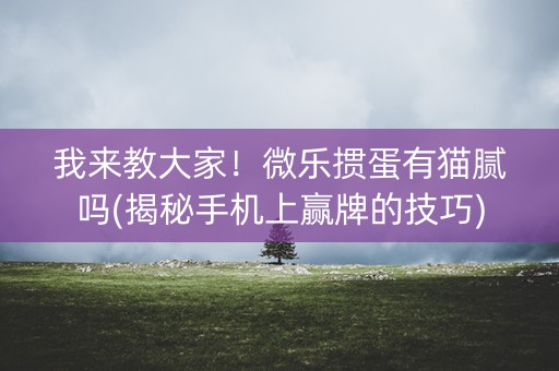 我来教大家！微乐掼蛋有猫腻吗(揭秘手机上赢牌的技巧)