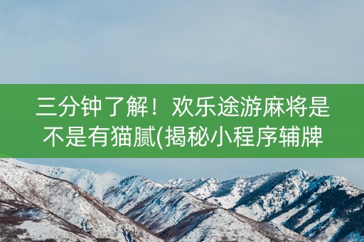三分钟了解！欢乐途游麻将是不是有猫腻(揭秘小程序辅牌器)