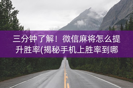 三分钟了解！微信麻将怎么提升胜率(揭秘手机上胜率到哪调)