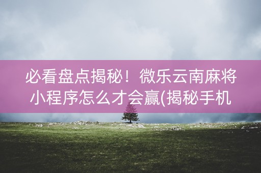 必看盘点揭秘！微乐云南麻将小程序怎么才会赢(揭秘手机上最新神器下载)
