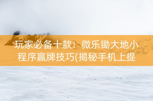 玩家必备十款！微乐锄大地小程序赢牌技巧(揭秘手机上提高胜率)