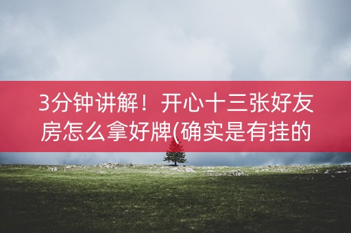 3分钟讲解！开心十三张好友房怎么拿好牌(确实是有挂的)