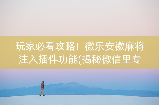 玩家必看攻略！微乐安徽麻将注入插件功能(揭秘微信里专用神器)