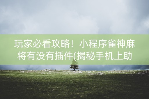 玩家必看攻略！小程序雀神麻将有没有插件(揭秘手机上助赢神器购买)