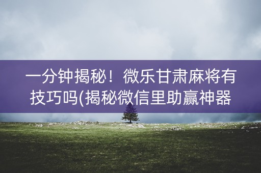 一分钟揭秘！微乐甘肃麻将有技巧吗(揭秘微信里助赢神器)