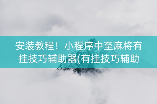 安装教程！小程序中至麻将有挂技巧辅助器(有挂技巧辅助器)