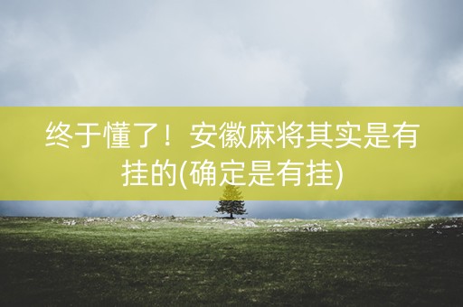终于懂了！安徽麻将其实是有挂的(确定是有挂)