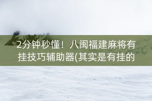 2分钟秒懂！八闽福建麻将有挂技巧辅助器(其实是有挂的)
