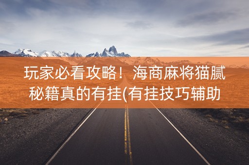 玩家必看攻略！海商麻将猫腻秘籍真的有挂(有挂技巧辅助器)