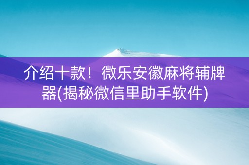 介绍十款！微乐安徽麻将辅牌器(揭秘微信里助手软件)