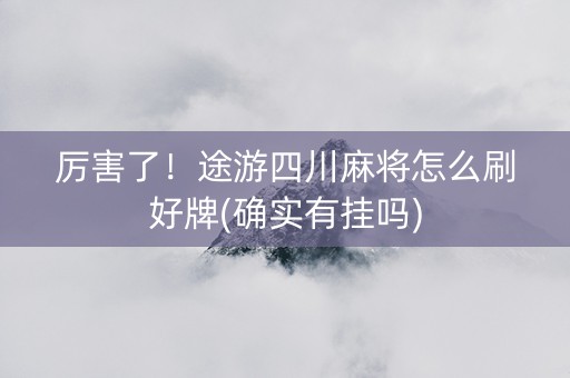 厉害了！途游四川麻将怎么刷好牌(确实有挂吗)