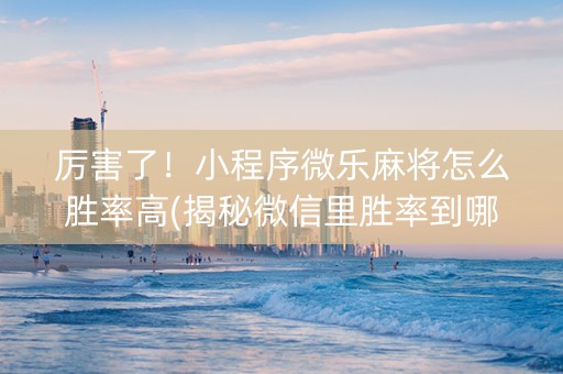 厉害了！小程序微乐麻将怎么胜率高(揭秘微信里胜率到哪调)