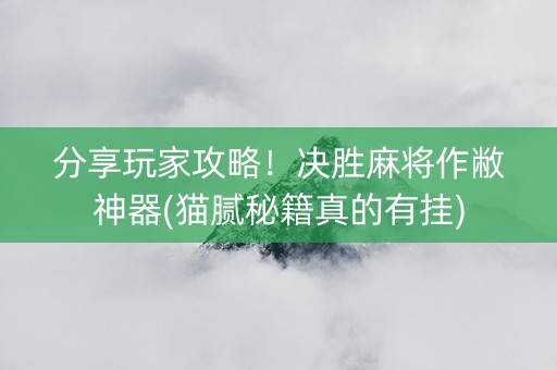 分享玩家攻略！决胜麻将作敝神器(猫腻秘籍真的有挂)