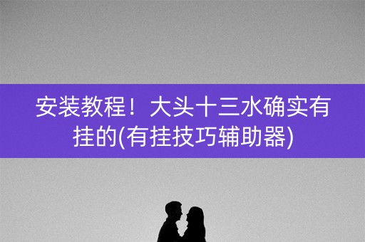 安装教程！大头十三水确实有挂的(有挂技巧辅助器)