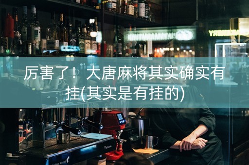 厉害了！大唐麻将其实确实有挂(其实是有挂的)