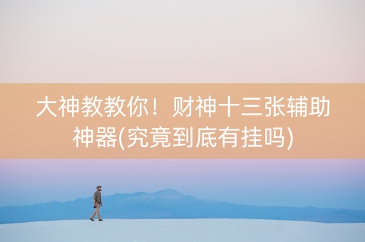 大神教教你！财神十三张辅助神器(究竟到底有挂吗)