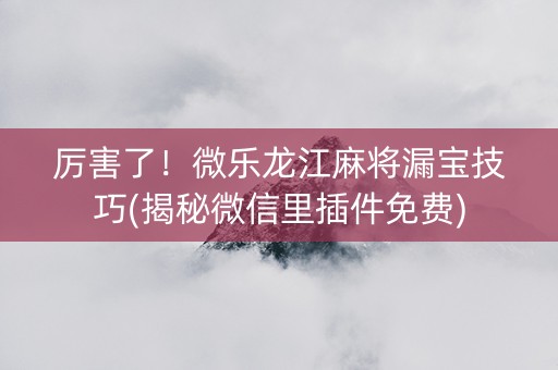 厉害了！微乐龙江麻将漏宝技巧(揭秘微信里插件免费)
