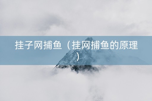 挂子网捕鱼（挂网捕鱼的原理）