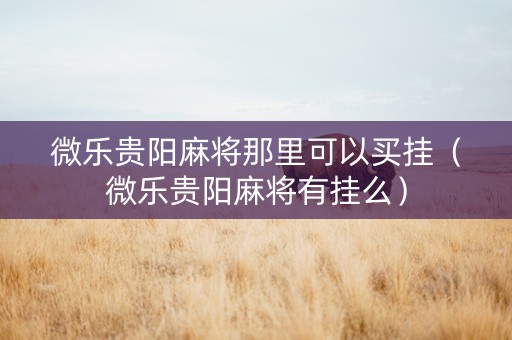 微乐贵阳麻将那里可以买挂（微乐贵阳麻将有挂么）