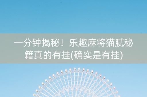 一分钟揭秘！乐趣麻将猫腻秘籍真的有挂(确实是有挂)