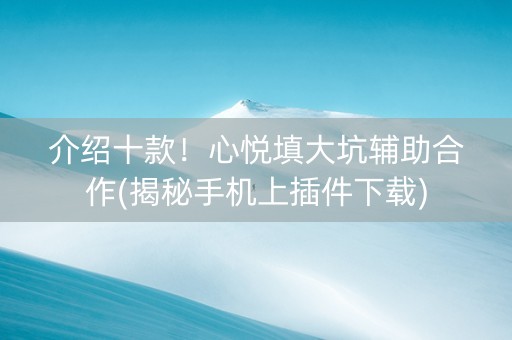 介绍十款！心悦填大坑辅助合作(揭秘手机上插件下载)
