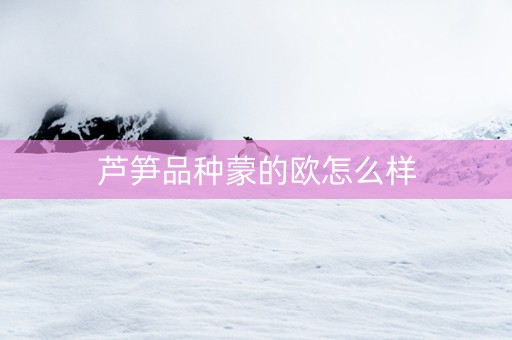 芦笋品种蒙的欧怎么样