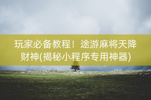 玩家必备教程！途游麻将天降财神(揭秘小程序专用神器)