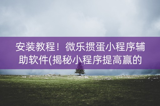 安装教程！微乐掼蛋小程序辅助软件(揭秘小程序提高赢的概率)