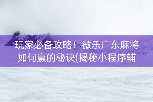 玩家必备攻略！微乐广东麻将如何赢的秘诀(揭秘小程序辅牌器)