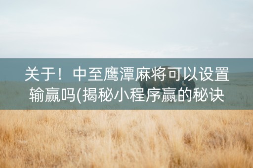 关于！中至鹰潭麻将可以设置输赢吗(揭秘小程序赢的秘诀)