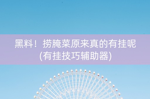 黑料！捞腌菜原来真的有挂呢(有挂技巧辅助器)