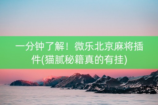 一分钟了解！微乐北京麻将插件(猫腻秘籍真的有挂)