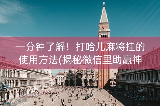 一分钟了解！打哈儿麻将挂的使用方法(揭秘微信里助赢神器购买)