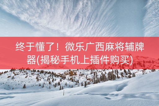 终于懂了！微乐广西麻将辅牌器(揭秘手机上插件购买)