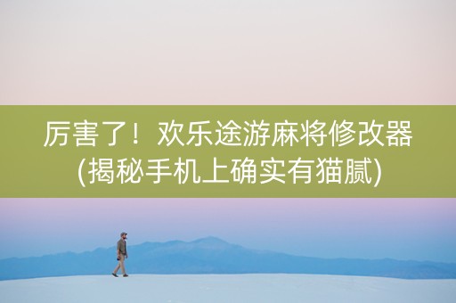 厉害了！欢乐途游麻将修改器(揭秘手机上确实有猫腻)