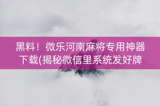 黑料！微乐河南麻将专用神器下载(揭秘微信里系统发好牌)