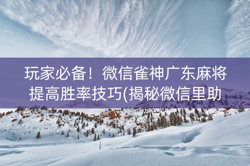 玩家必备！微信雀神广东麻将提高胜率技巧(揭秘微信里助赢神器购买)